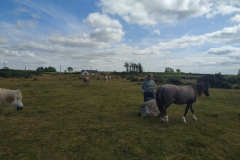 IMG_20260801_151232