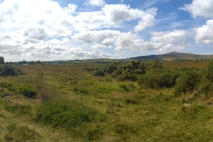 PANO_2026-08-01_14-33-07