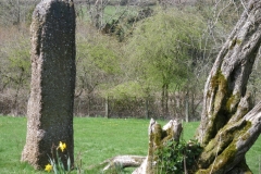 IMGP1685