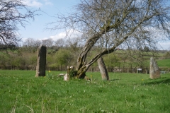 IMGP1686