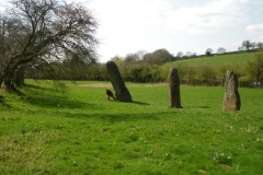 IMGP1691