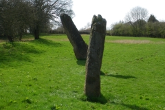 IMGP1693