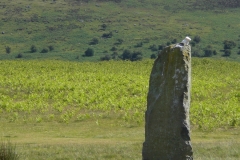 CIMG5258