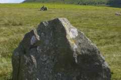 CIMG5261