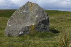 CIMG5264