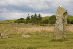 IMGP3533