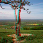 Up the Downs