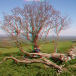 Up the Downs