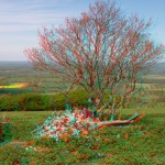 Up the Downs
